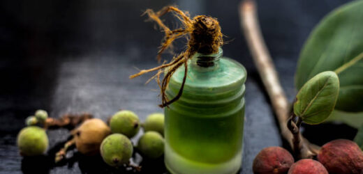 7 Plant-Based Oils That May Give You Healthier Hair